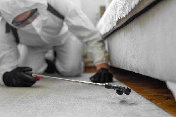 Professional Pest Control technician working in Tanglewilde, WA