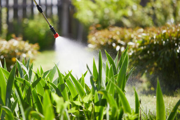 24/7 Emergency Pest Control experts in Tanglewilde, WA